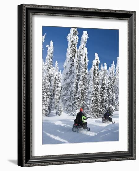 Snowmobilers Riding Through a Forest of Hoar Frosted Trees on Two Top Mountain, West Yellowstone, M-Kimberly Walker-Framed Photographic Print