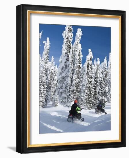 Snowmobilers Riding Through a Forest of Hoar Frosted Trees on Two Top Mountain, West Yellowstone, M-Kimberly Walker-Framed Photographic Print