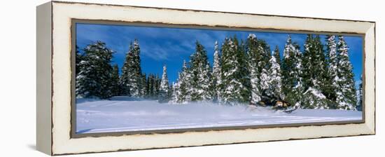 Snowmobiling in Yellowstone National Forest, CA-null-Framed Premier Image Canvas