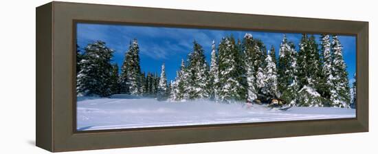 Snowmobiling in Yellowstone National Forest, CA-null-Framed Premier Image Canvas