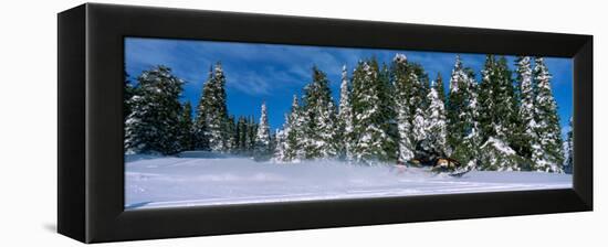 Snowmobiling in Yellowstone National Forest, CA-null-Framed Premier Image Canvas