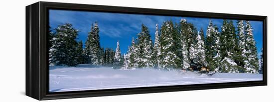 Snowmobiling in Yellowstone National Forest, CA-null-Framed Premier Image Canvas