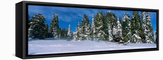 Snowmobiling in Yellowstone National Forest, CA-null-Framed Premier Image Canvas