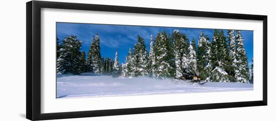 Snowmobiling in Yellowstone National Forest, CA-null-Framed Photographic Print