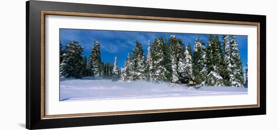 Snowmobiling in Yellowstone National Forest, CA-null-Framed Photographic Print