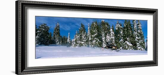 Snowmobiling in Yellowstone National Forest, CA-null-Framed Photographic Print