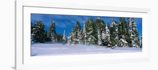 Snowmobiling in Yellowstone National Forest, CA-null-Framed Photographic Print