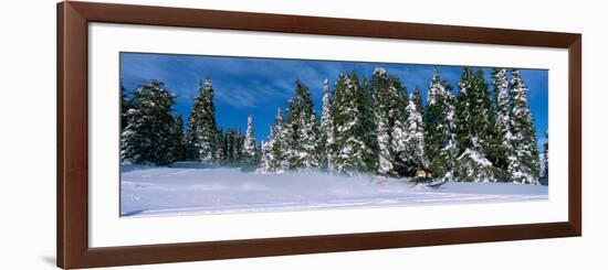 Snowmobiling in Yellowstone National Forest, CA-null-Framed Photographic Print