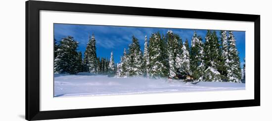 Snowmobiling in Yellowstone National Forest, CA-null-Framed Photographic Print