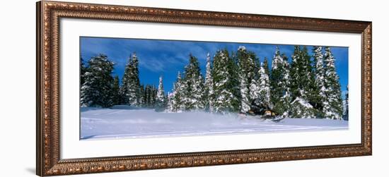 Snowmobiling in Yellowstone National Forest, CA--Framed Photographic Print