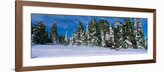 Snowmobiling in Yellowstone National Forest, CA-null-Framed Photographic Print