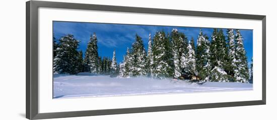 Snowmobiling in Yellowstone National Forest, CA-null-Framed Photographic Print