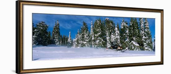 Snowmobiling in Yellowstone National Forest, CA-null-Framed Photographic Print