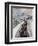 "Snowplows at Snoqualmie Pass," February 6, 1960-John Clymer-Framed Giclee Print