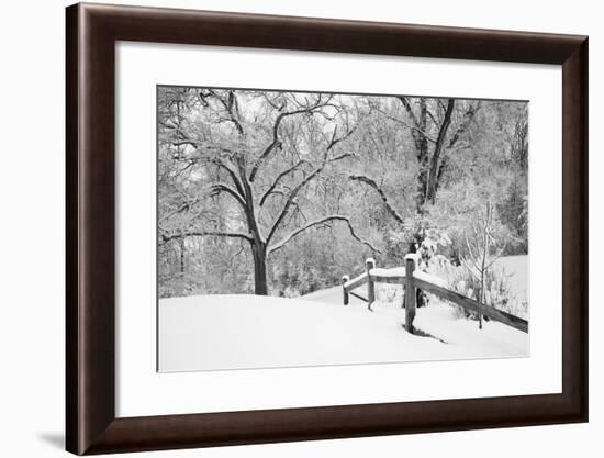 Snowscape, Farmington Hills, Michigan ‘08-Monte Nagler-Framed Photographic Print