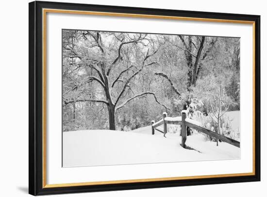 Snowscape, Farmington Hills, Michigan ‘08-Monte Nagler-Framed Photographic Print