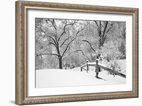 Snowscape, Farmington Hills, Michigan ‘08-Monte Nagler-Framed Photographic Print