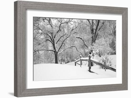 Snowscape, Farmington Hills, Michigan ‘08-Monte Nagler-Framed Photographic Print