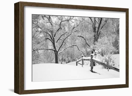 Snowscape, Farmington Hills, Michigan ‘08-Monte Nagler-Framed Photographic Print