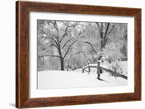 Snowscape, Farmington Hills, Michigan ‘08-Monte Nagler-Framed Photographic Print