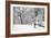 Snowscape, Farmington Hills, Michigan ‘08-Monte Nagler-Framed Photographic Print