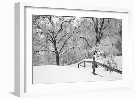 Snowscape, Farmington Hills, Michigan ‘08-Monte Nagler-Framed Photographic Print