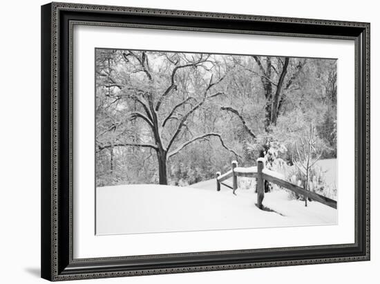 Snowscape, Farmington Hills, Michigan ‘08-Monte Nagler-Framed Photographic Print