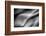 Snowshapes-Ursula Abresch-Framed Photographic Print