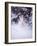 Snowshoe Hare, MT-John Luke-Framed Photographic Print