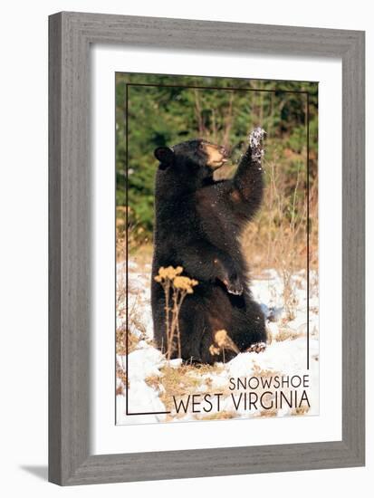 Snowshoe, West Virginia - Bear Playing with Snow-Lantern Press-Framed Art Print