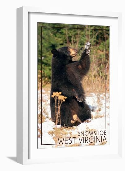 Snowshoe, West Virginia - Bear Playing with Snow-Lantern Press-Framed Art Print