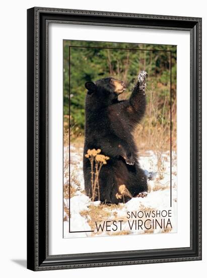 Snowshoe, West Virginia - Bear Playing with Snow-Lantern Press-Framed Art Print