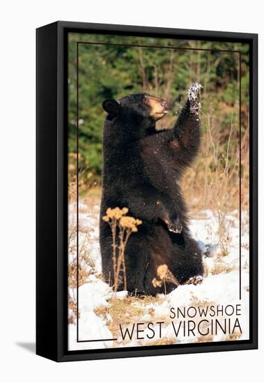 Snowshoe, West Virginia - Bear Playing with Snow-Lantern Press-Framed Stretched Canvas