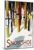 Snowshoe, West Virginia - Colorful Skis-Lantern Press-Mounted Art Print