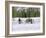 Snowshoeing, Sun Valley, Idaho, USA-null-Framed Photographic Print