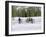 Snowshoeing, Sun Valley, Idaho, USA-null-Framed Photographic Print