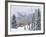 Snowstorm Along Highway 550-Don Paulson-Framed Giclee Print