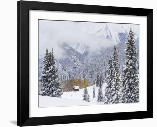 Snowstorm Along Highway 550-Don Paulson-Framed Giclee Print