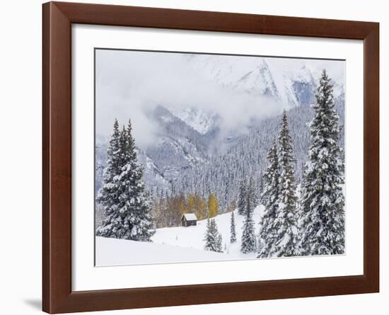 Snowstorm Along Highway 550-Don Paulson-Framed Giclee Print