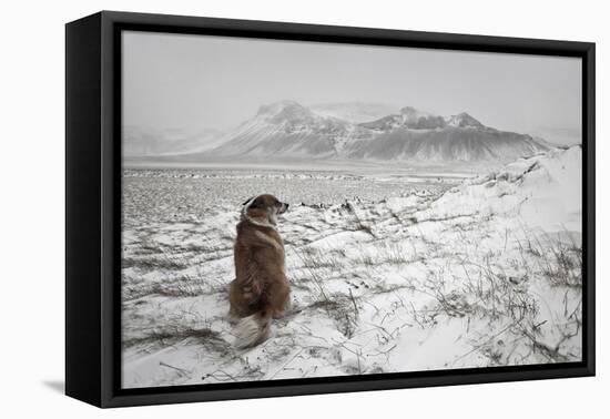 Snowstorm-Bragi Ingibergsson --Framed Premier Image Canvas