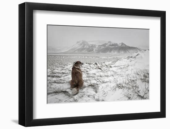 Snowstorm-Bragi Ingibergsson --Framed Photographic Print