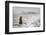 Snowstorm-Bragi Ingibergsson --Framed Photographic Print