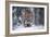 Snowtiger-Marcel Egger-Framed Giclee Print