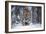 Snowtiger-Marcel Egger-Framed Giclee Print