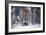 Snowtiger-Marcel Egger-Framed Giclee Print