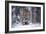 Snowtiger-Marcel Egger-Framed Giclee Print