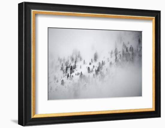 Snowy alpine landscape , Gran Paradiso National Park, Italy-David Pattyn-Framed Photographic Print