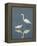 Snowy and Great Egrets-Arthur Morris-Framed Premier Image Canvas