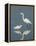 Snowy and Great Egrets-Arthur Morris-Framed Premier Image Canvas