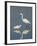 Snowy and Great Egrets-Arthur Morris-Framed Photographic Print